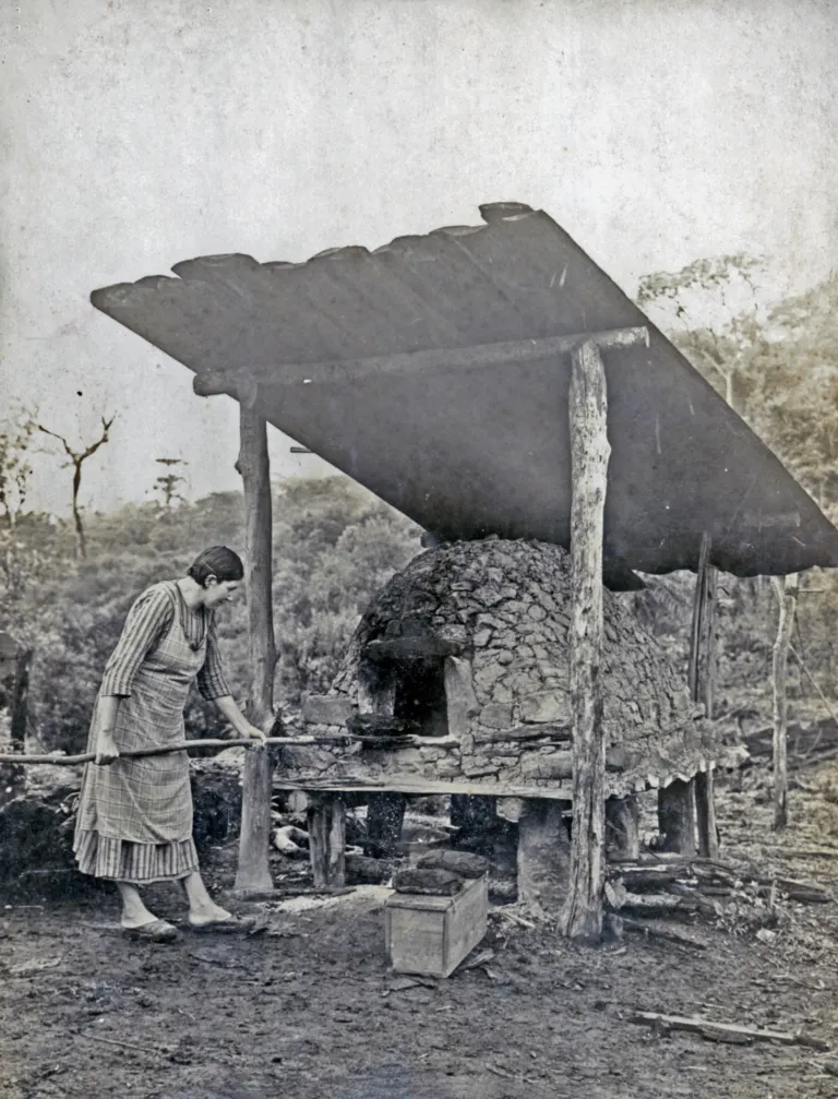 Registro histórico de construção enxaimel