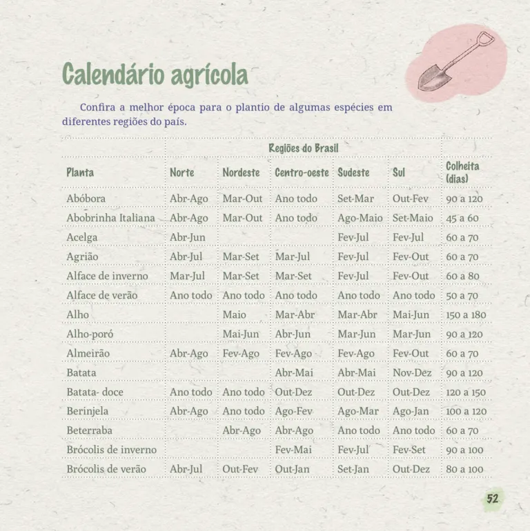 Página do livro Horta na Escola