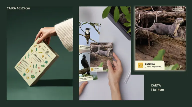Cartas do jogo da memória com fauna nativa do Paraná