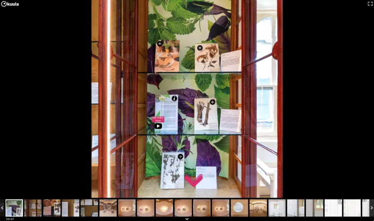 Tour virtual da exposição mostrando a videoinstalação