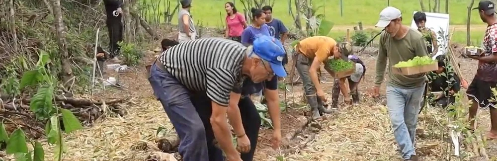 Da Terra à Mesa — Agroecologia no Sul do Brasil