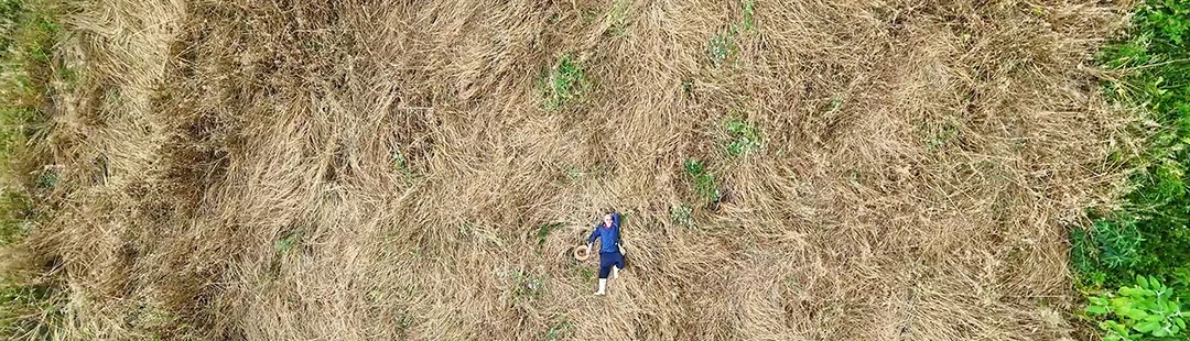 Vista aérea de uma pessoa deitada sobre a palhada de uma lavoura