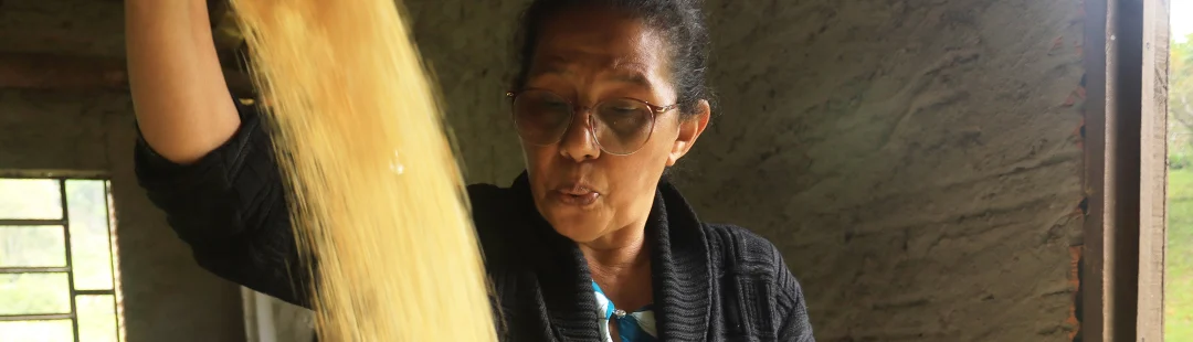 Agricultora peneirando grãos, cena da websérie Da Terra à Mesa